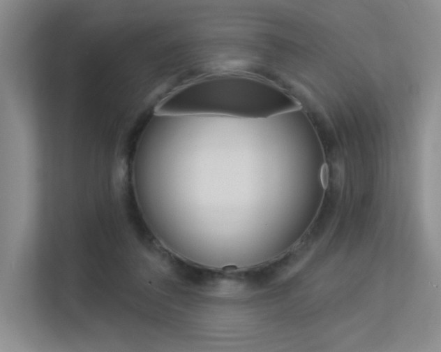 X0000113360308200909151012