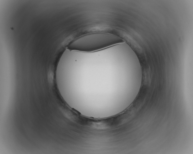 X0000113360309200909151012