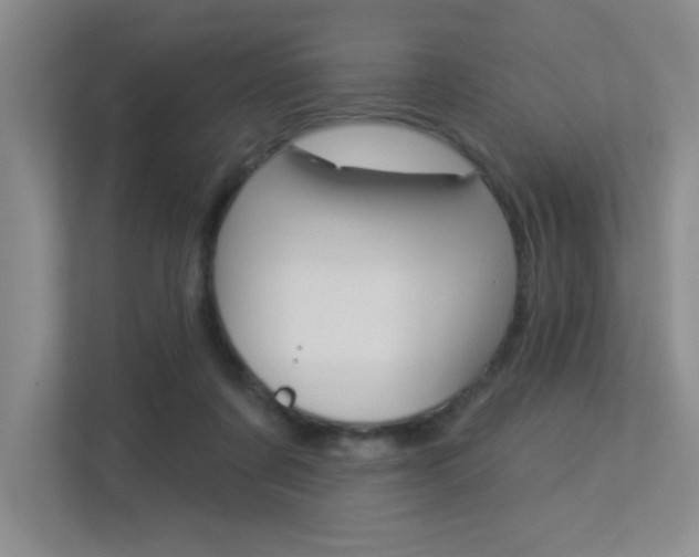 X0000113360311200909151012