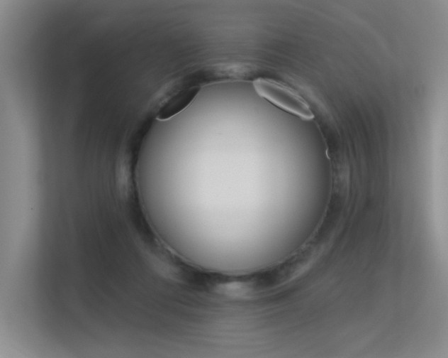 X0000113360312200909151012