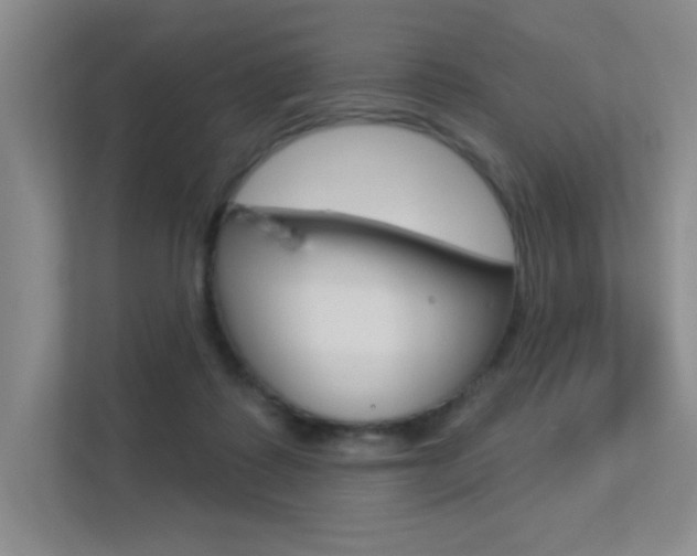 X0000113360315200909151012
