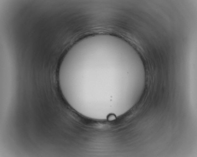 X0000113360317200909151012