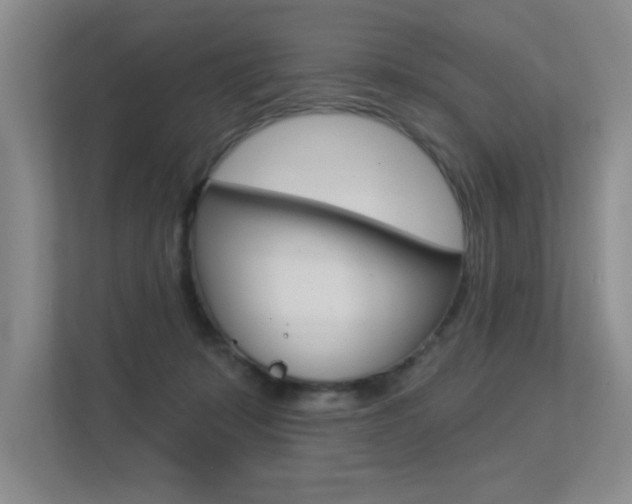X0000113360319200909151012
