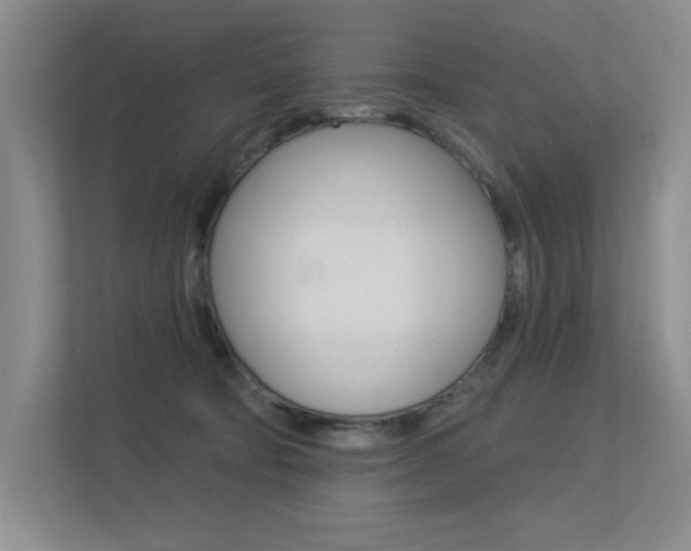X0000113360322200909151011