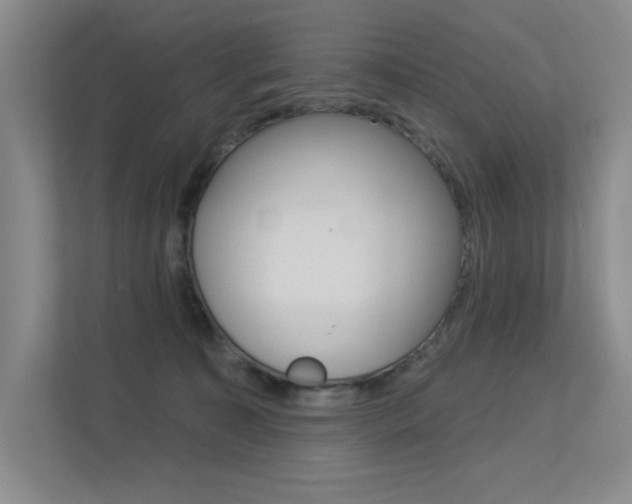 X0000113360323200909151011