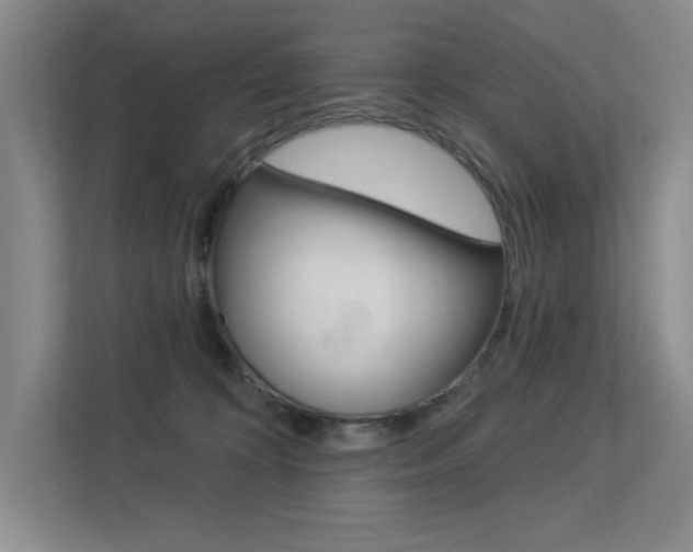 X0000113360324200909151011