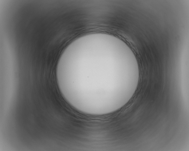 X0000113360325200909151011