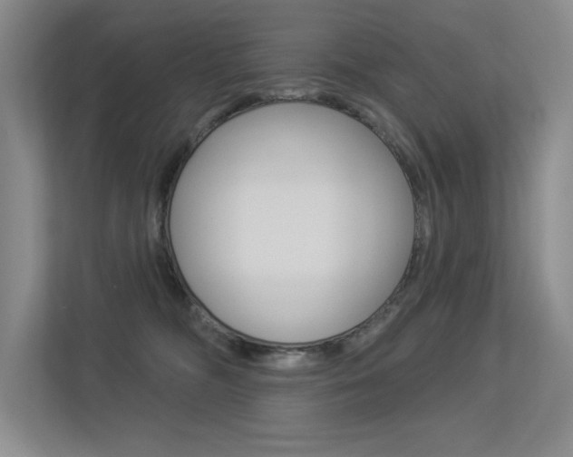 X0000113360326200909151011