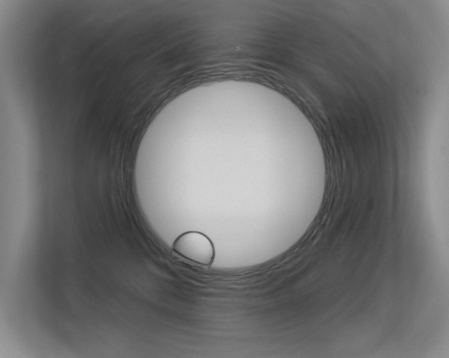 X0000113360328200909151011
