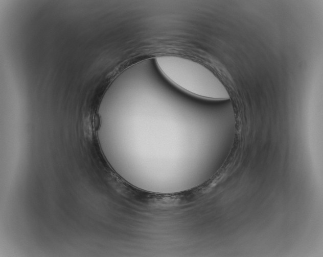 X0000113360329200909151011