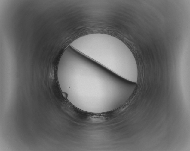 X0000113360331200909151011