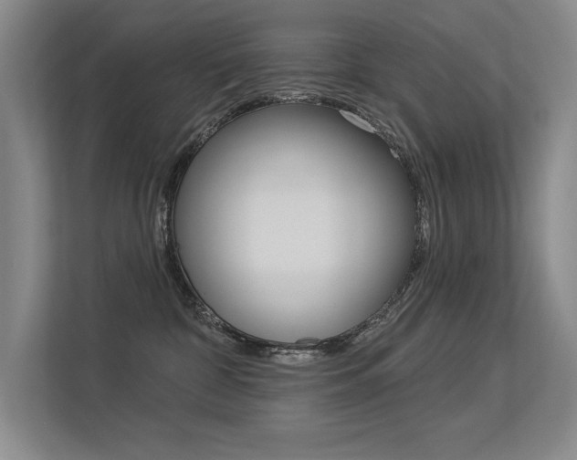X0000113360332200909151011