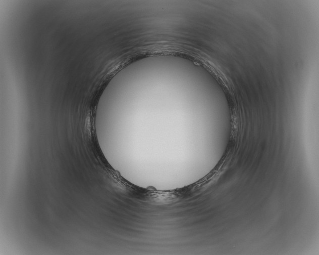 X0000113360333200909151011