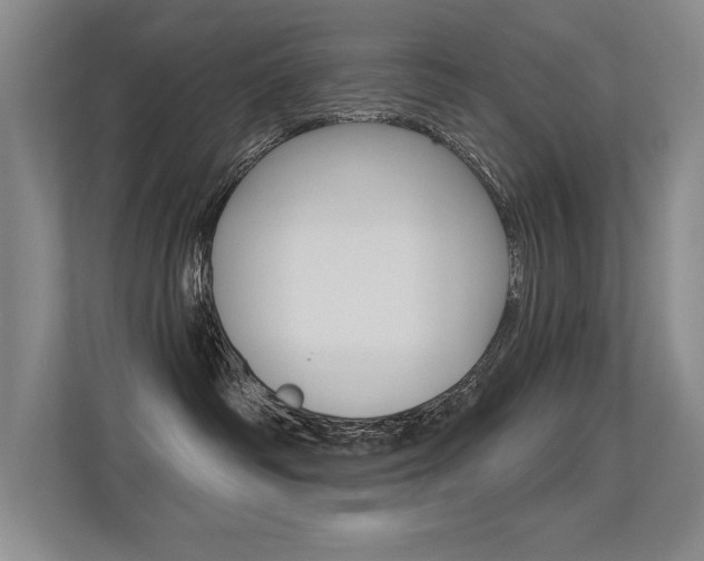 X0000113360334200909151011