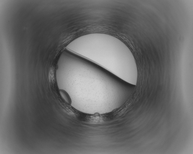 X0000113360335200909151011
