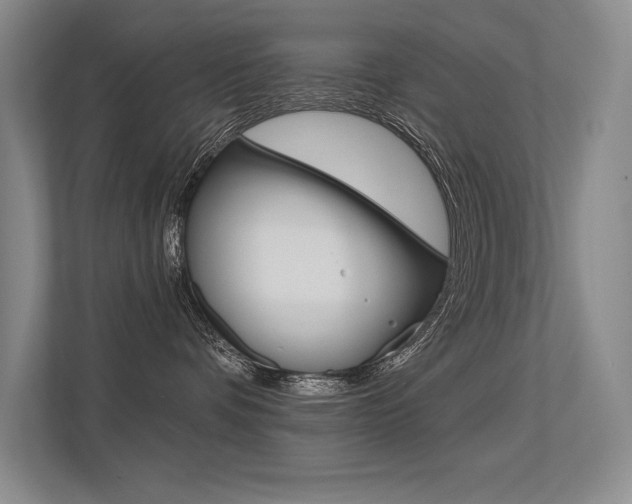 X0000113360336200909151011