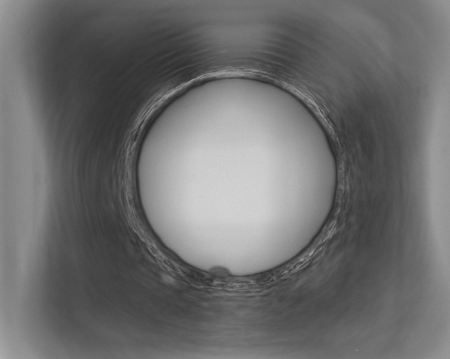 X0000113360337200909151011