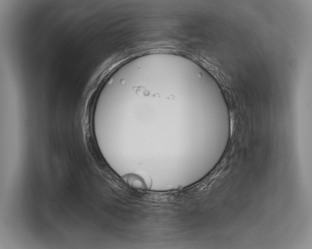 X0000113360339200909151011