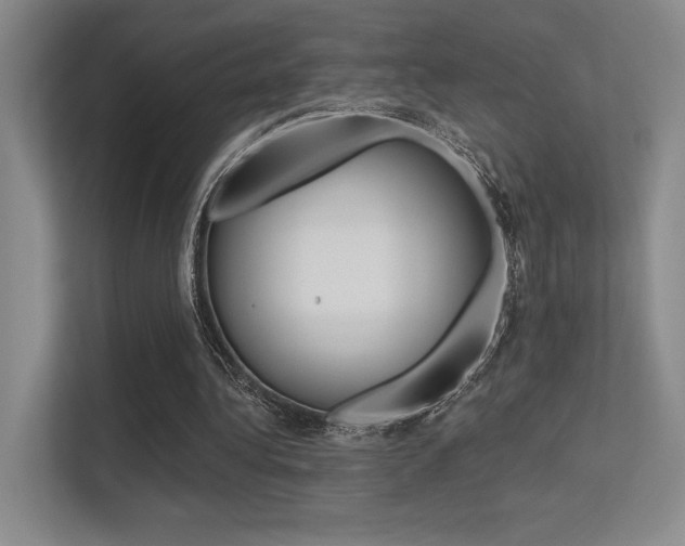 X0000113360340200909151011