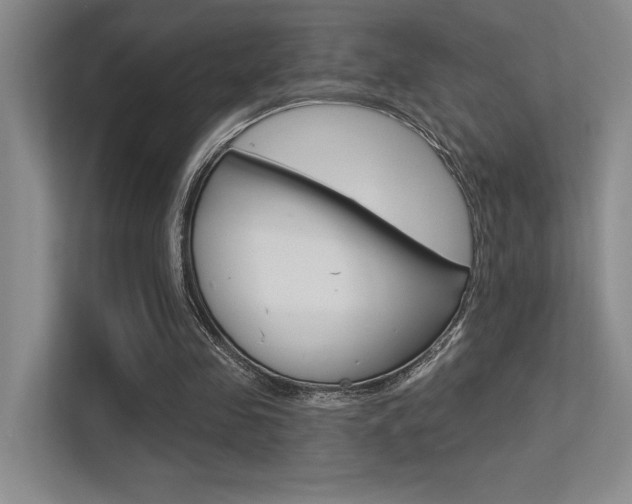 X0000113360341200909151011