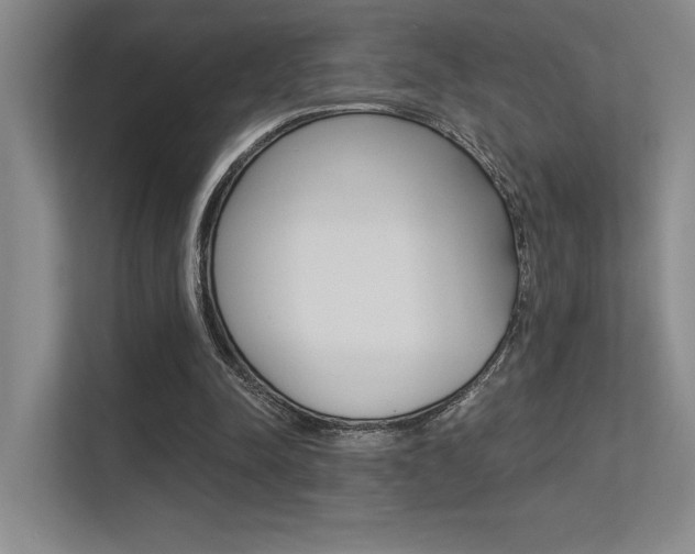 X0000113360342200909151011