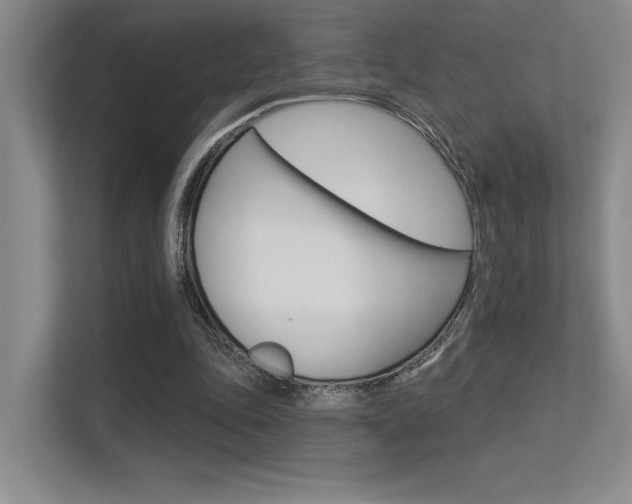 X0000113360343200909151011