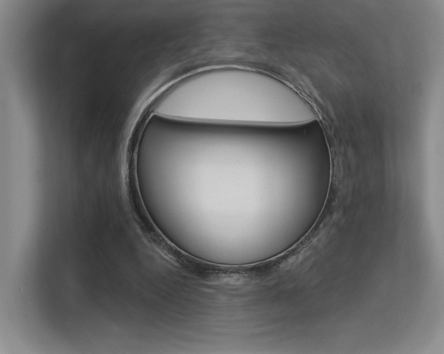 X0000113360344200909151011