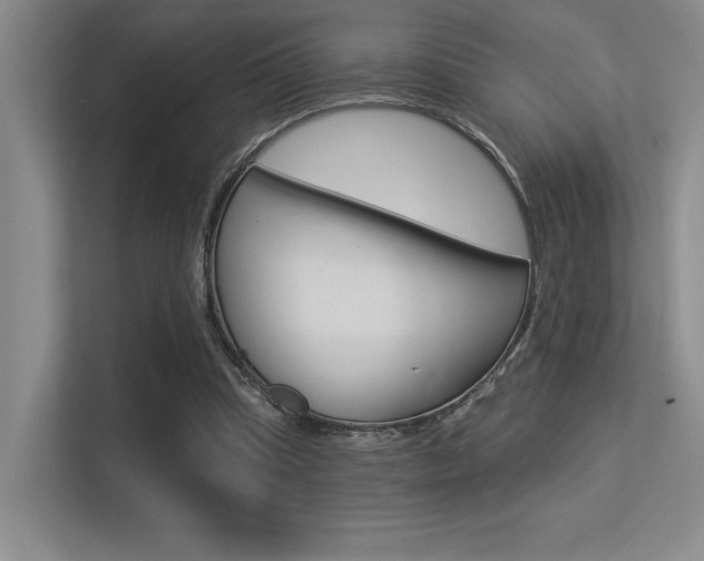X0000113360345200909151011