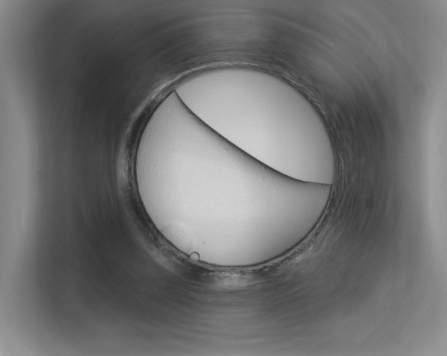 X0000113360347200909151011