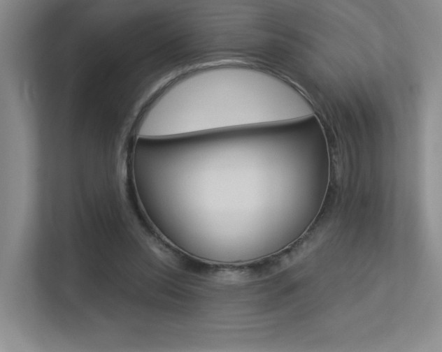 X0000113360350200909151011