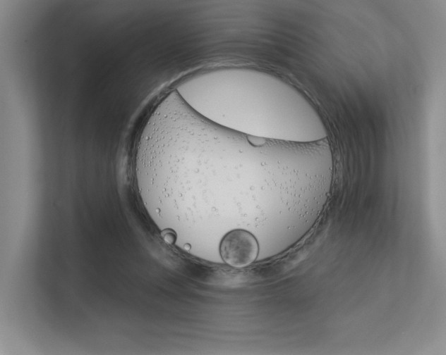 X0000113360351200909151011