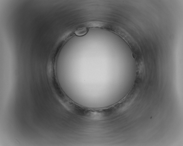X0000113360352200909151011