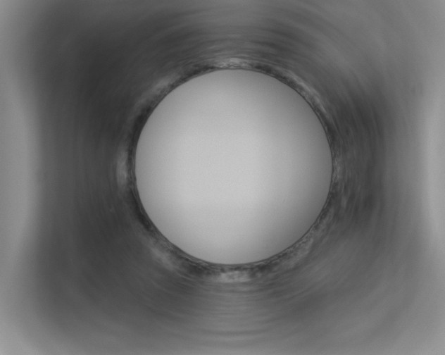 X0000113360353200909151011