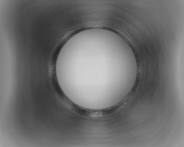 X0000113360355200909151011