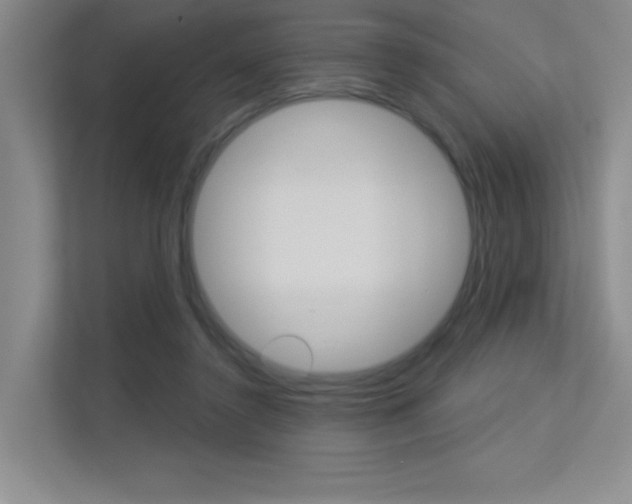 X0000113360356200909151011