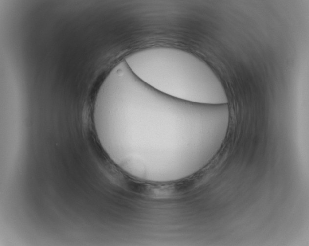 X0000113360359200909151011