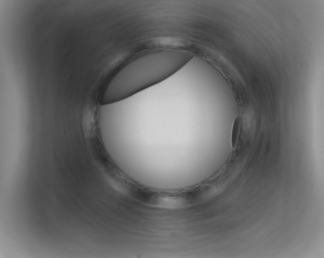 X0000113360360200909151011