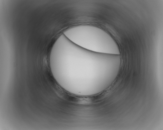 X0000113360363200909151011