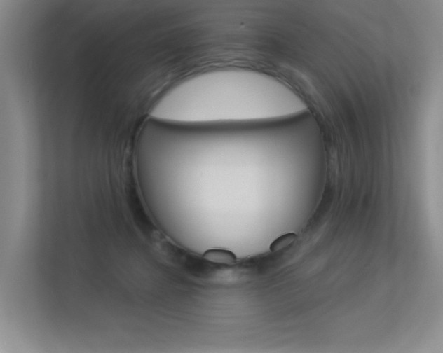 X0000113360364200909151011