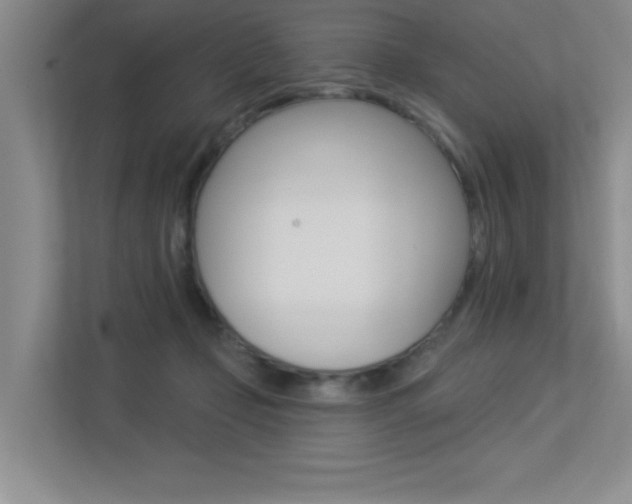 X0000113360365200909151011