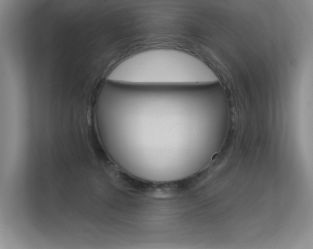 X0000113360368200909151011