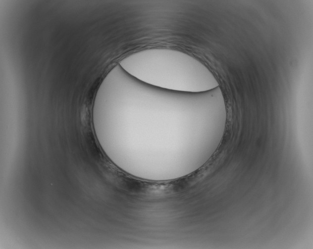 X0000113360375200909151011