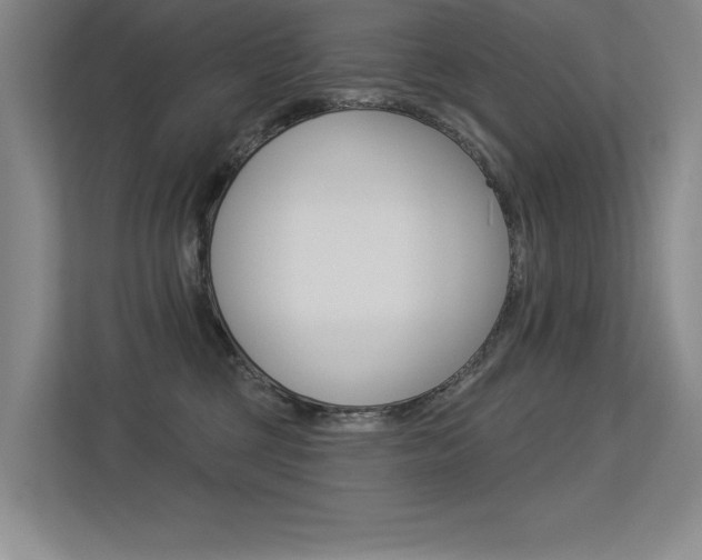 X0000113360377200909151011