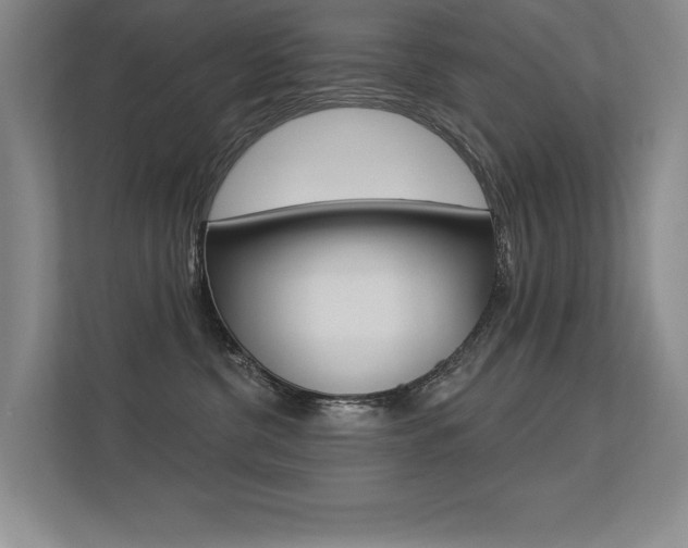 X0000113360380200909151011