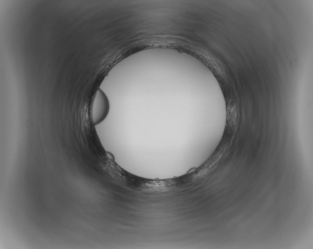 X0000113360381200909151011