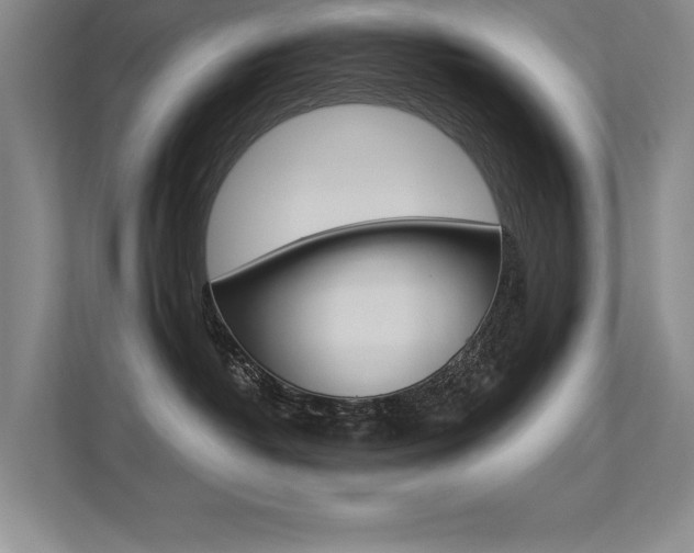 X0000113360382200909151011