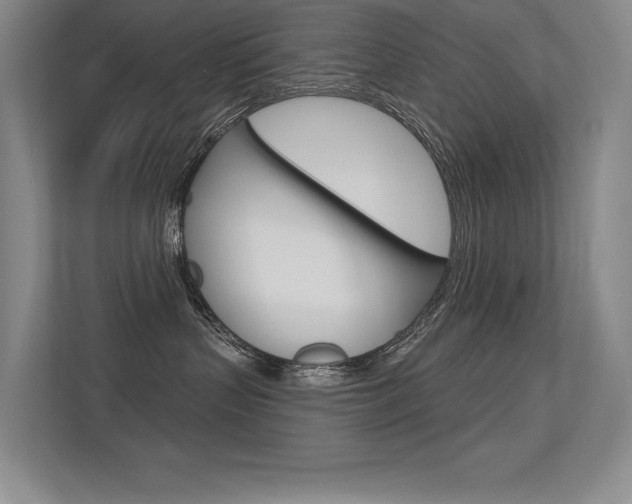 X0000113360383200909151011