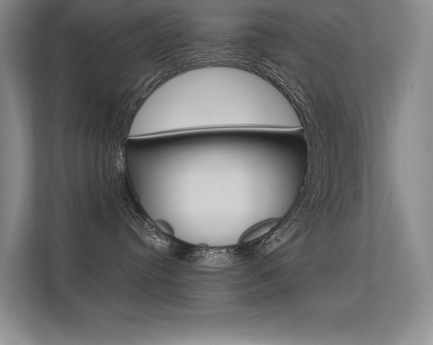 X0000113360384200909151011