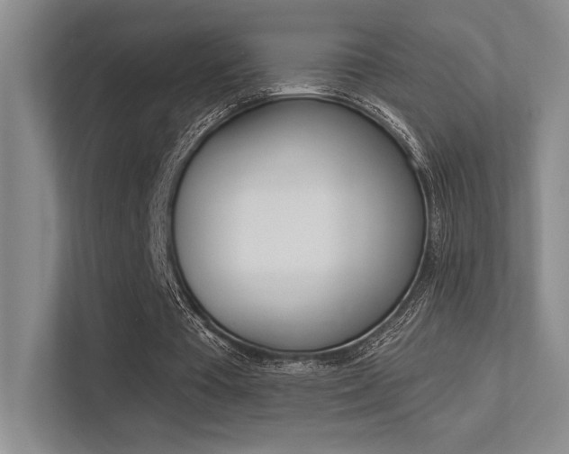 X0000113360385200909151011