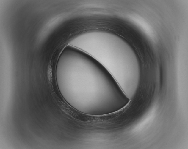 X0000113360387200909151011